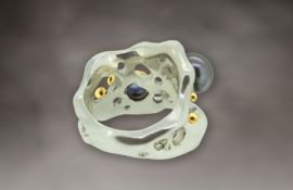 R.WN.19008_Sea Ring (2)