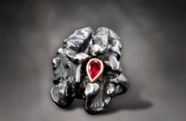 R.WN.19012_Walnut Ring (1)