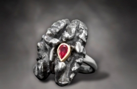 R.WN.19012_Walnut Ring (2)